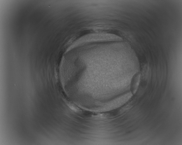 X0000067460430200604211546