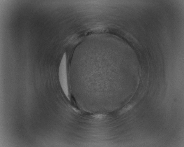 X0000067460432200604211546