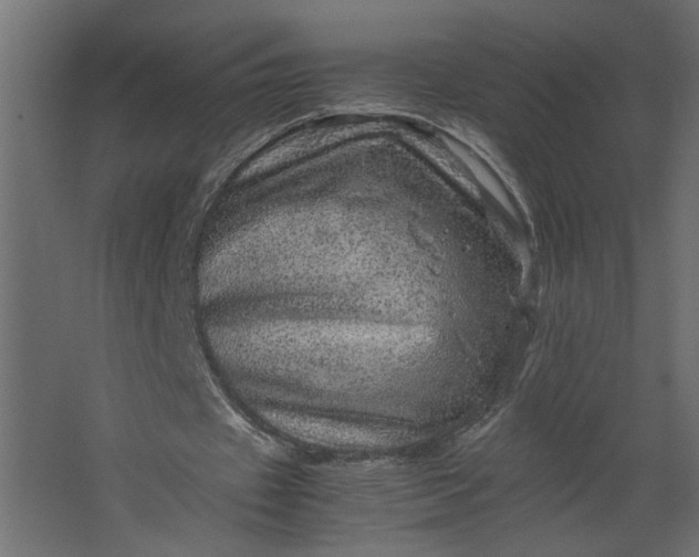 X0000067460433200604211545