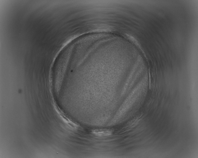 X0000067460435200604211545