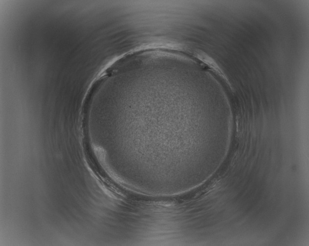 X0000067460436200604211545