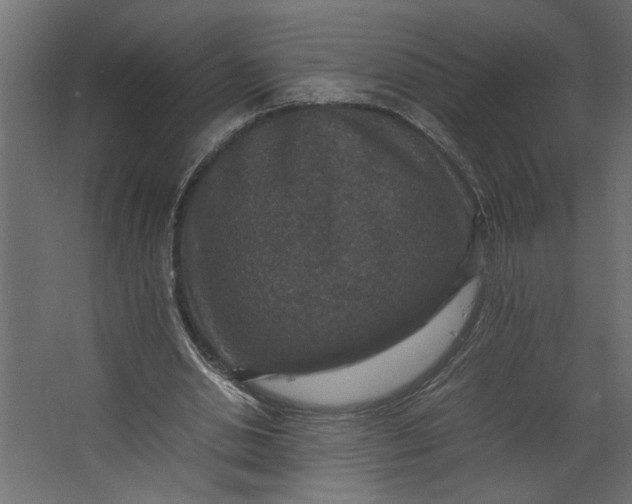 X0000067460438200604211545