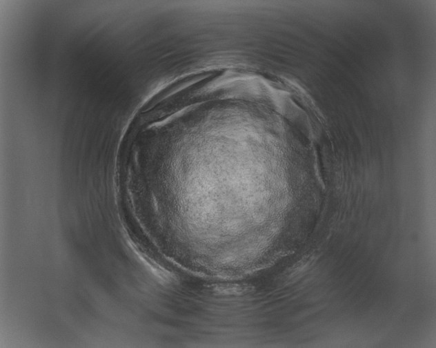 X0000067460439200604211545