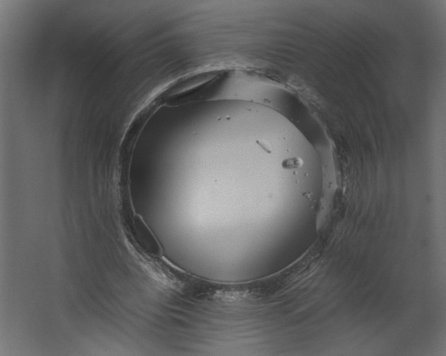 X0000067460440200604211545