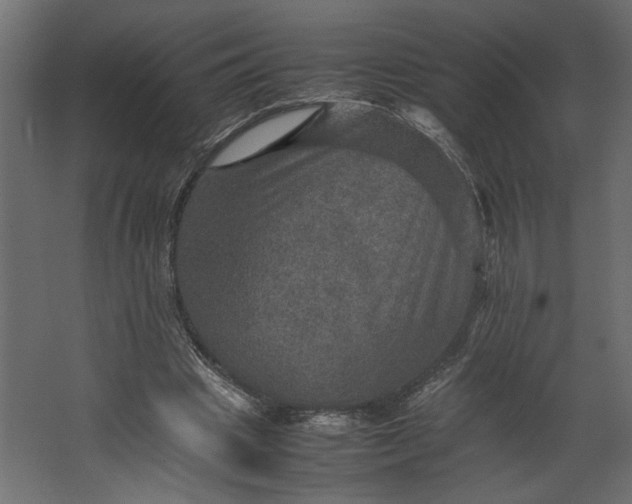 X0000067460441200604211545