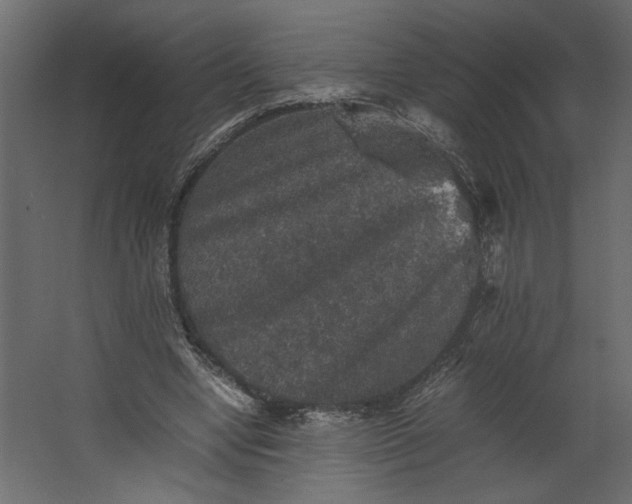 X0000067460442200604211545