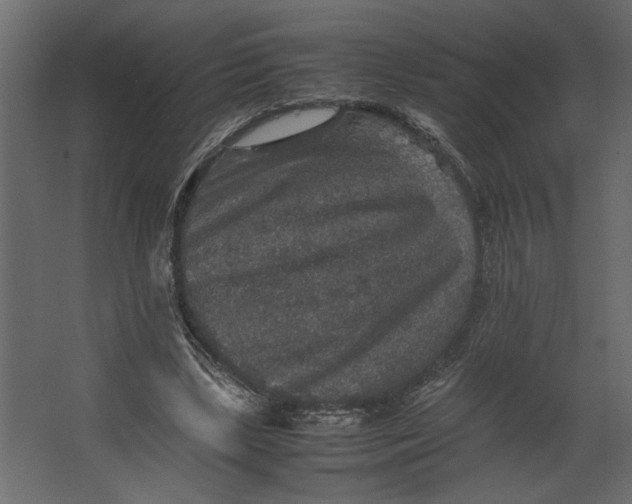 X0000067460443200604211545