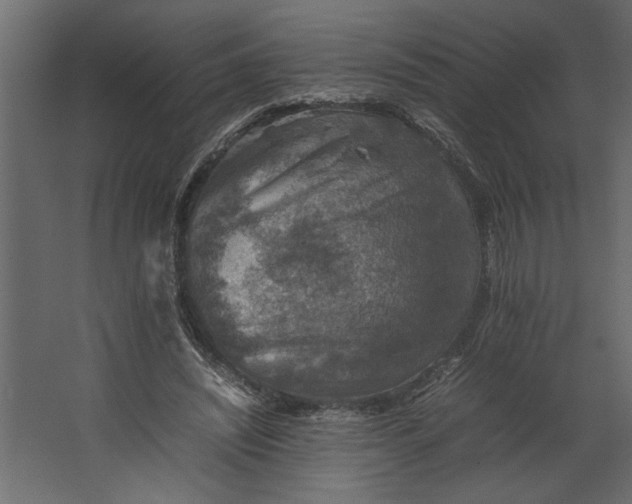 X0000067460444200604211545