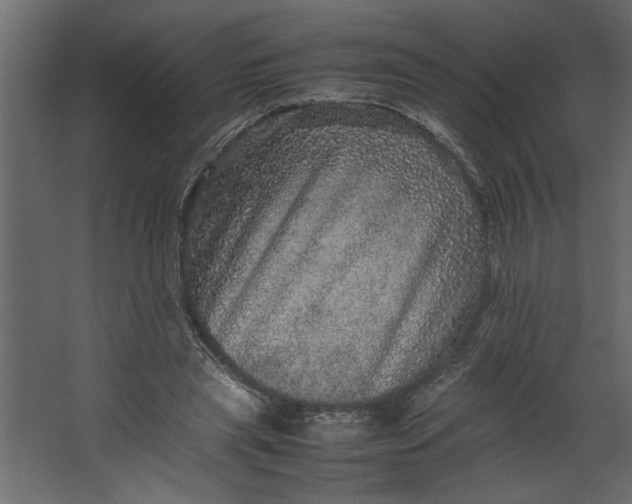 X0000067460445200604211545