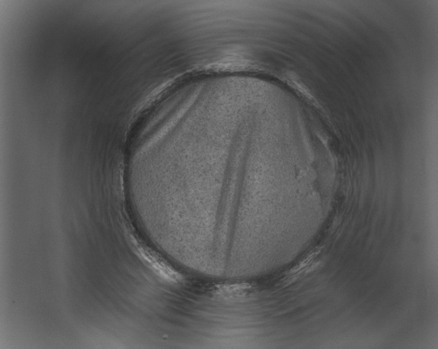 X0000067460446200604211545