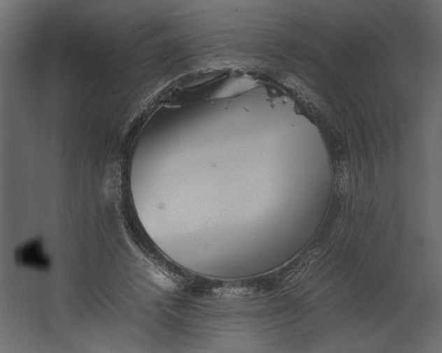 X0000067460448200604211545