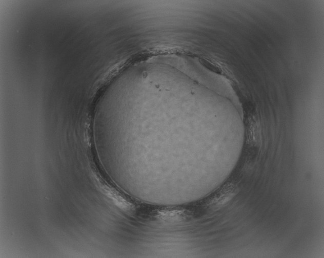 X0000067460450200604211545