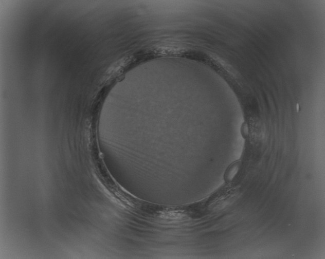 X0000067460451200604211545