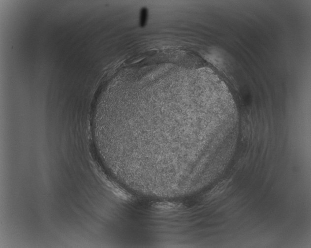 X0000067460453200604211545