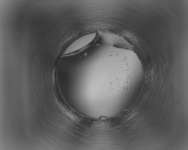 X0000067460454200604211545