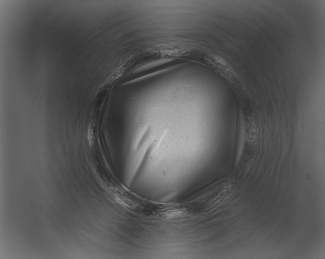 X0000067460456200604211545