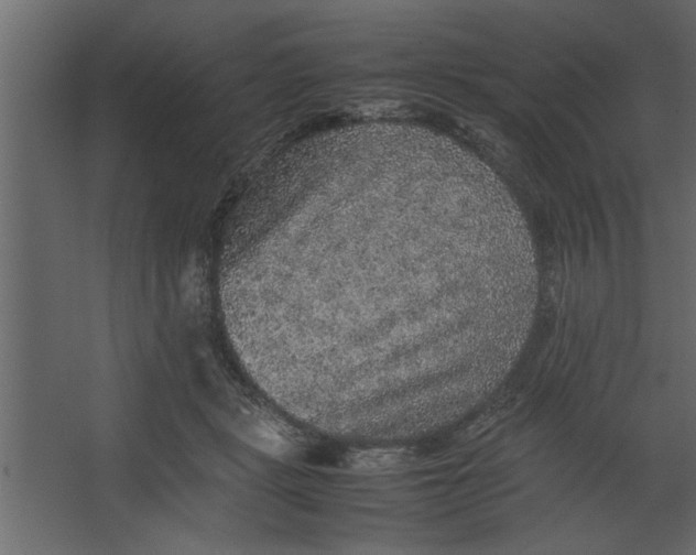 X0000067460461200604211545