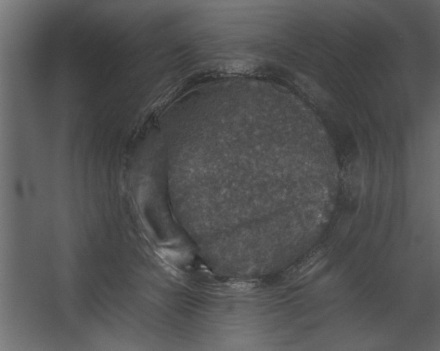 X0000067460462200604211545