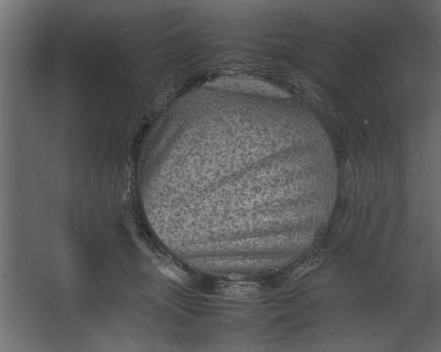 X0000067460463200604211545