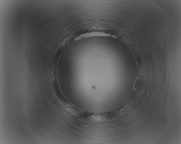 X0000067460464200604211545