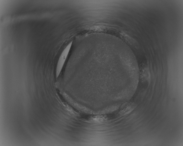 X0000067460466200604211545