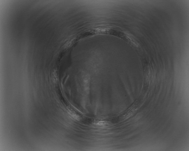 X0000067460467200604211545