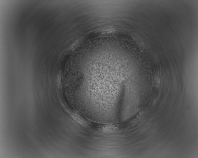 X0000067460468200604211545