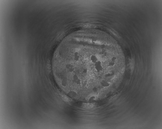 X0000067460469200604211545