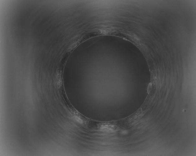 X0000067460471200604211545