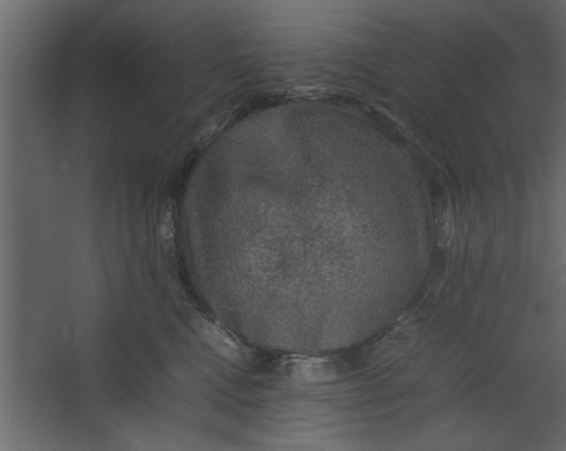 X0000067460472200604211545