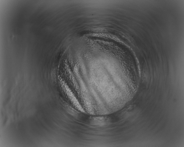 X0000067460473200604211546