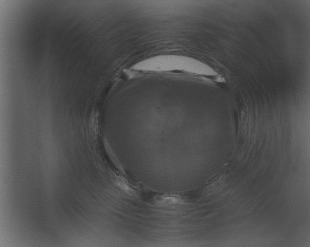 X0000067460475200604211546