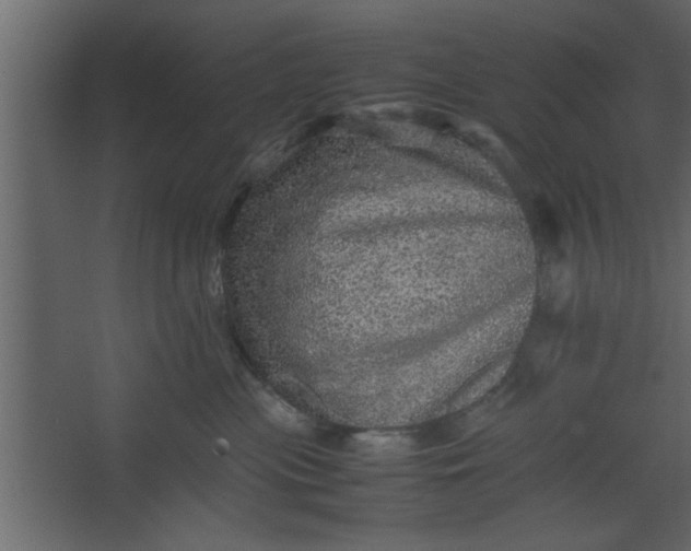 X0000067460477200604211546