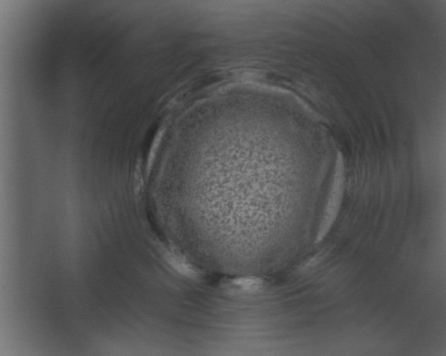 X0000067460478200604211546