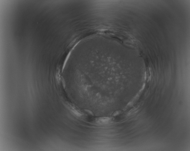 X0000067460479200604211546