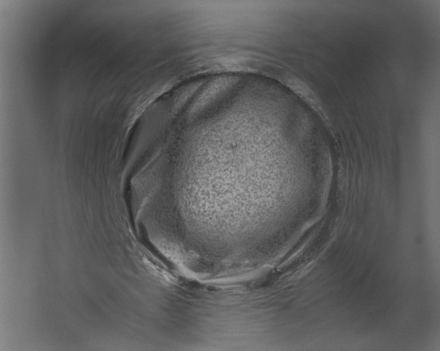 X0000067460481200604211545