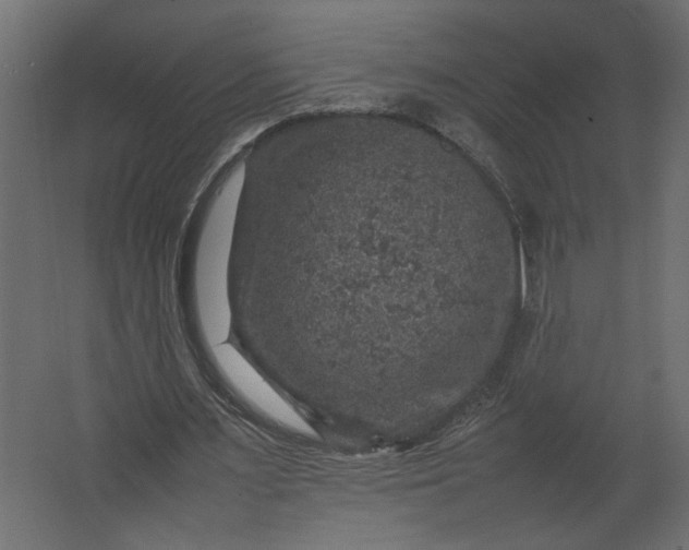 X0000067460483200604211545