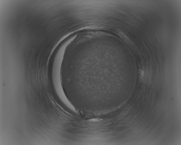 X0000067460484200604211545