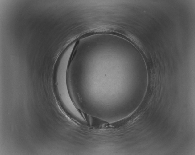 X0000067460485200604211545