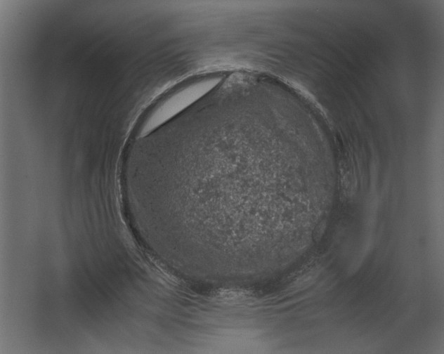 X0000067460487200604211545