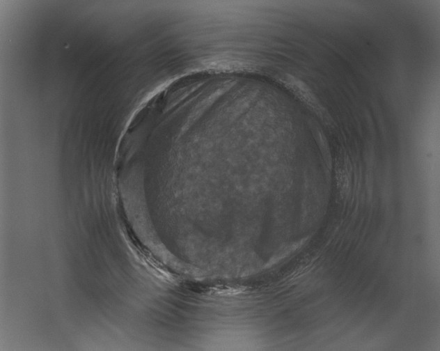 X0000067460488200604211545