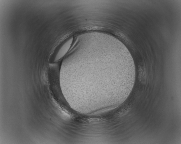 X0000067460490200604211545