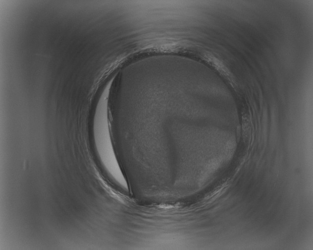 X0000067460493200604211545