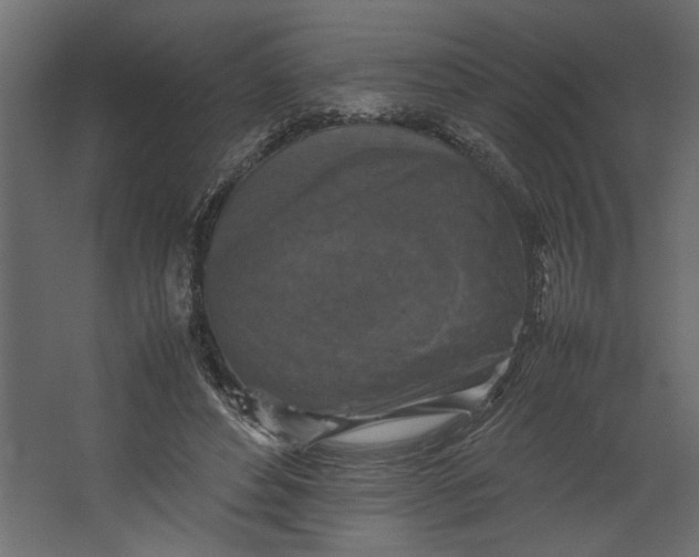 X0000067460496200604211545