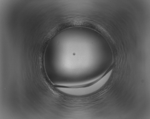 X0000067460497200604211545