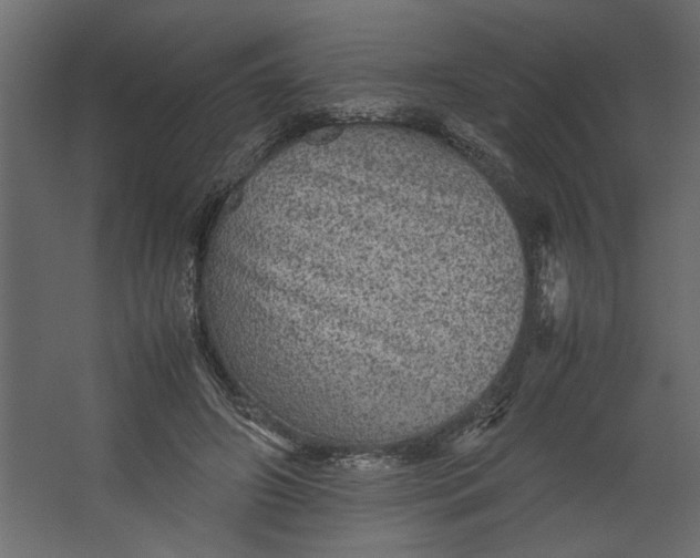 X0000067460498200604211545