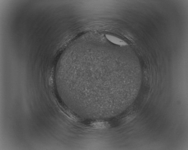 X0000067460499200604211545