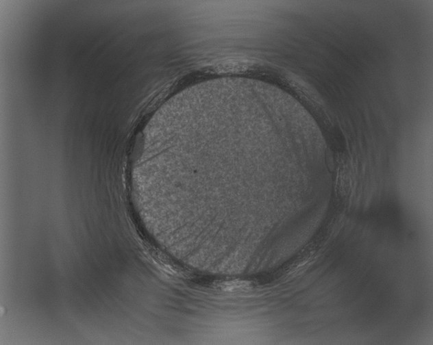 X0000067460501200604211544