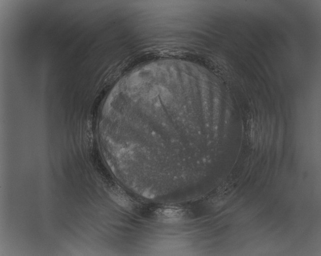 X0000067460506200604211544