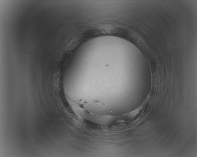 X0000067460509200604211544